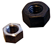 Hex Nuts